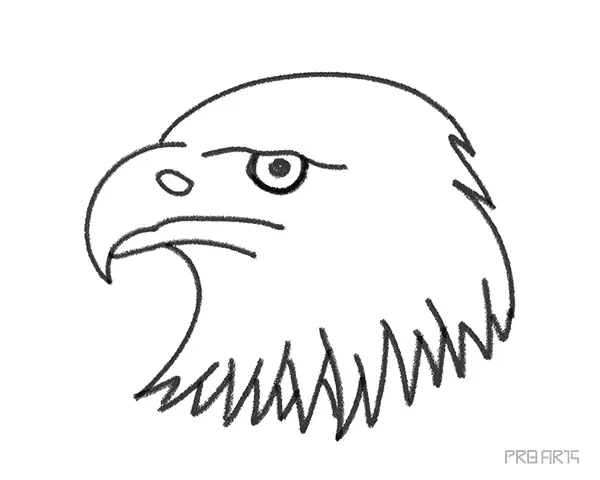 learn how to draw an eagle's head with easy drawing steps this art tutorial is designed for kids and beginners - 11