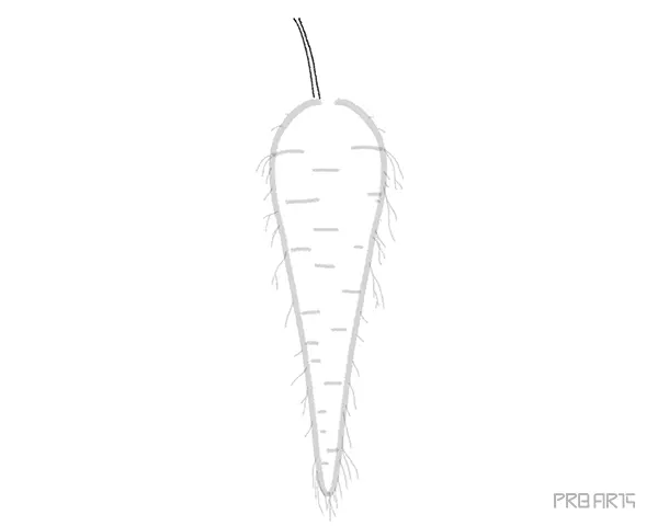 learn how to draw a carrot an easy step-by-step drawing tutorial complete guide for beginners - 06