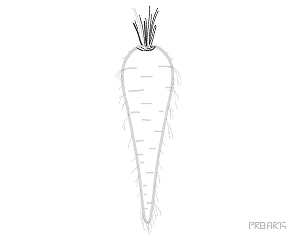 learn how to draw a carrot an easy step-by-step drawing tutorial complete guide for beginners - 07