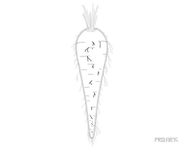 learn how to draw a carrot an easy step-by-step drawing tutorial complete guide for beginners - 08
