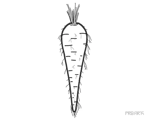 botanical drawing of a bundle of carrots and turnip | Stable Diffusion |  OpenArt