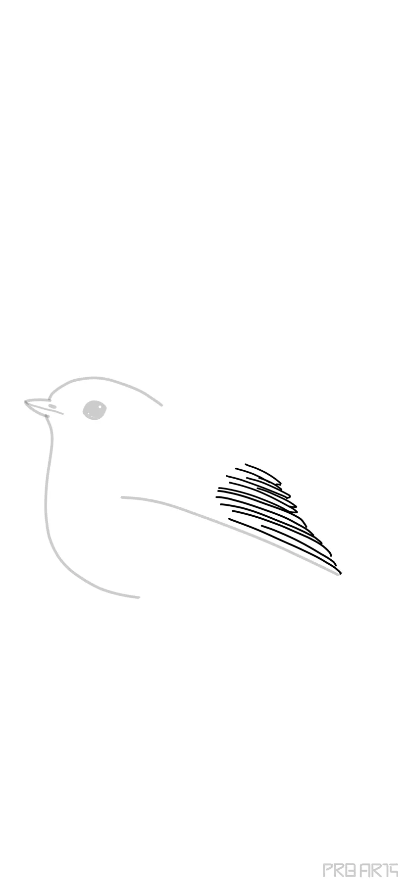 Hand drawn birds robin erithacus rubecula sketch Vector Image
