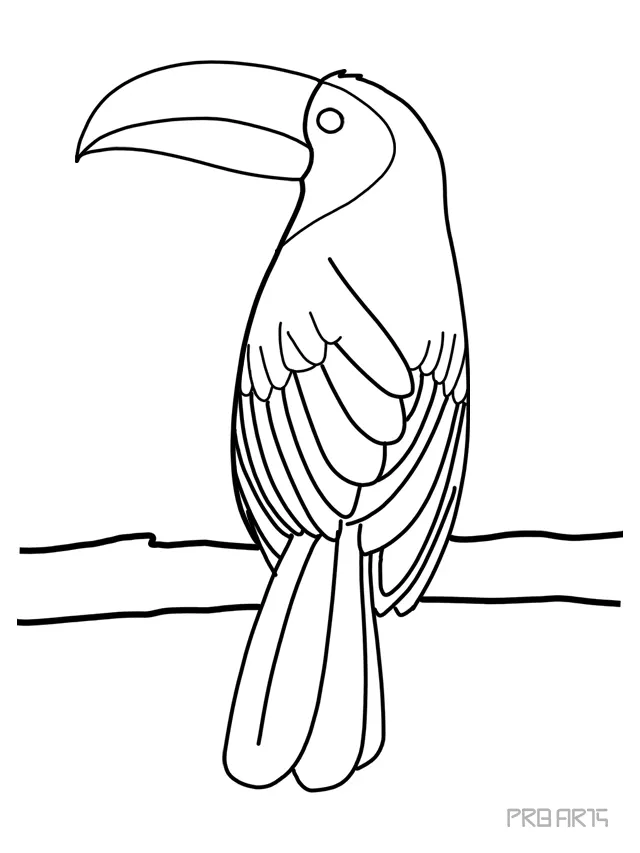 Toucan Bird Drawing Step-by-Step Tutorial - PRB ARTS