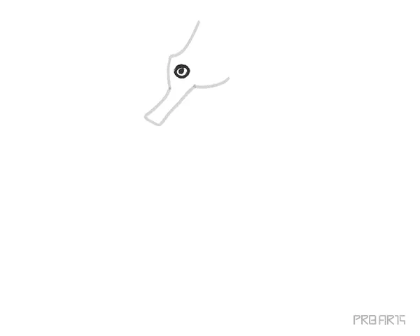 learn how to draw a cartoon-style seahorse with an easy step-by-step guide specially created for kids and beginners - 04