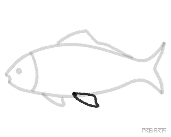 learn how to draw a koi fish super easy and simple steps to draw the fish anyone can practice this drawing tutorial - step 09