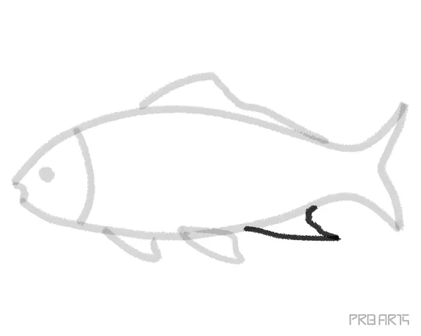 learn how to draw a koi fish super easy and simple steps to draw the fish anyone can practice this drawing tutorial - step 10