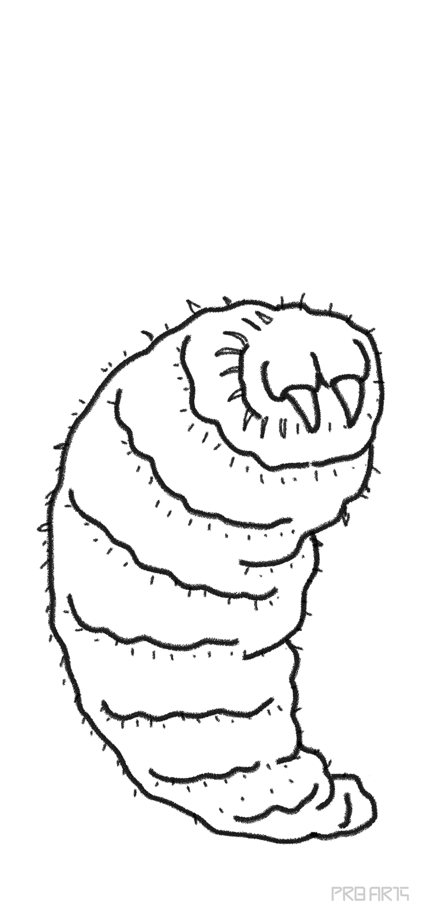 Learn How to Draw Red from Larva Larva Step by Step  Drawing Tutorials