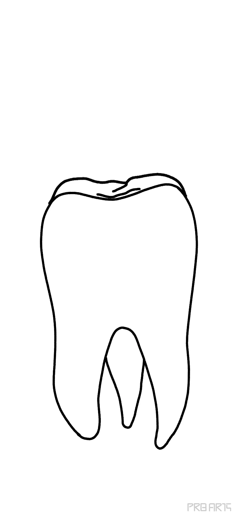 DRAW IT NEAT: How to draw tooth diagram labeled.