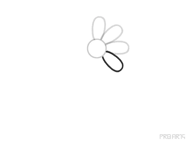 learn how to draw the daisy flower petal step-05