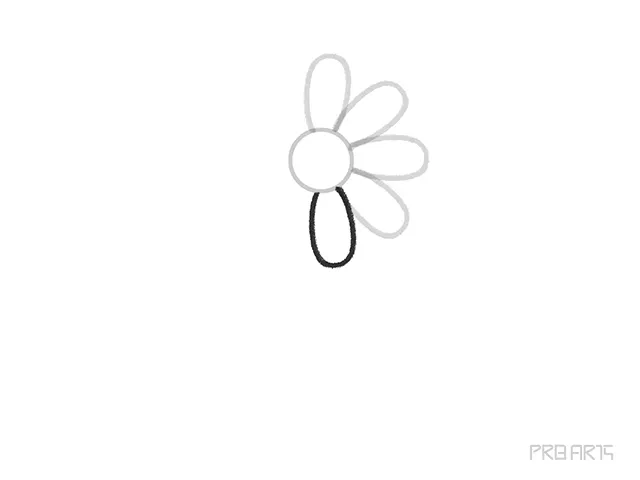 learn how to draw the daisy flower petal step-06