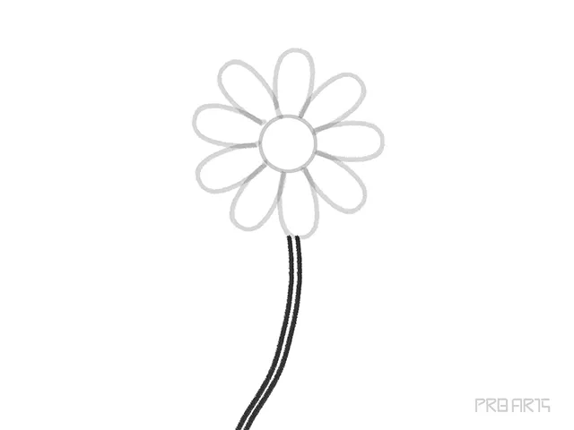 learn how to draw the daisy flower petal step-11