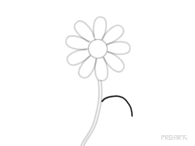 learn how to draw the daisy flower petal step-12