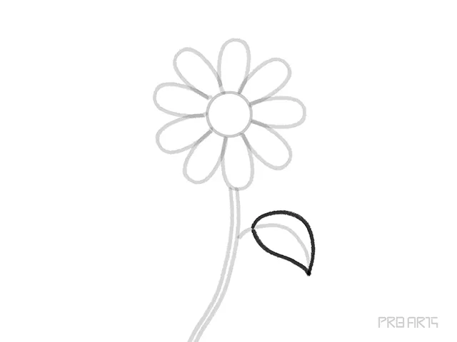 learn how to draw the daisy flower petal step-13