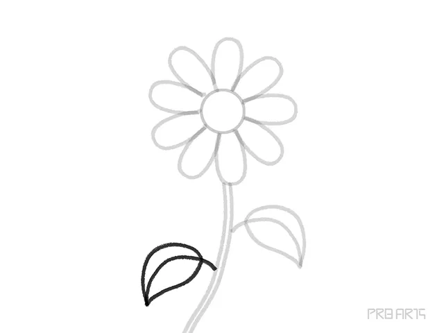 learn how to draw the daisy flower petal step-14