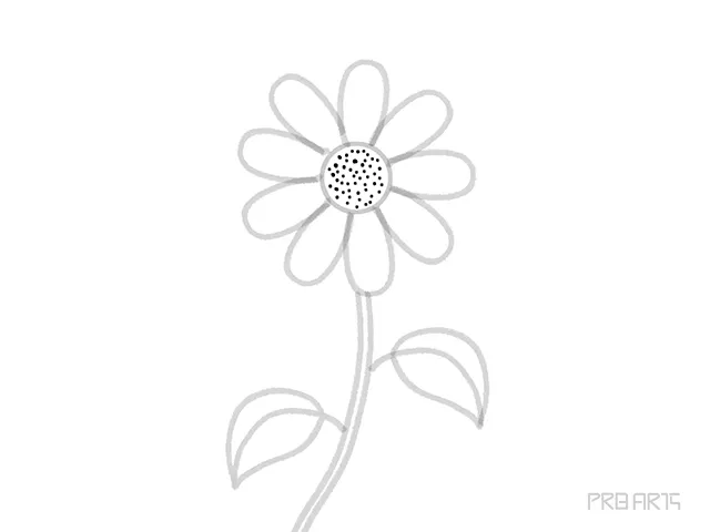 learn how to draw the daisy flower petal step-15