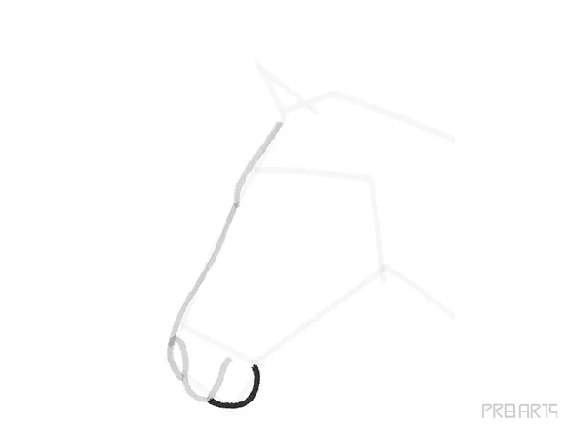 horse head outline sketch - step 7