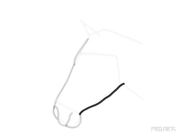 horse head outline sketch - step 8