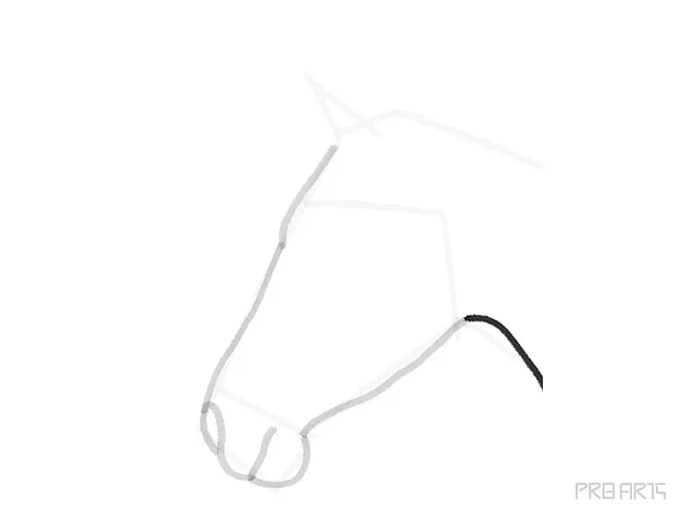 horse head outline sketch - step 9