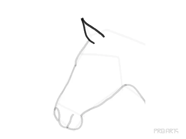 horse head outline sketch - step 10