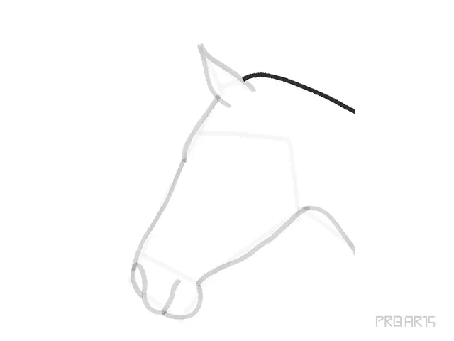 horse head outline sketch - step 11