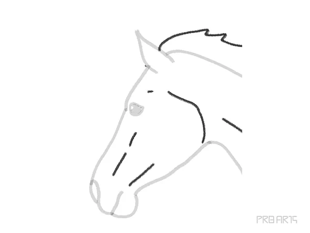 horse head outline sketch - step 13