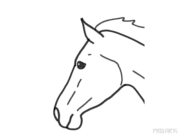 Learn how to draw the horse head outline drawing an easy step-by-step sketching tutorial for beginners. In this drawing-tutorial you will understand the basic shape of the horse head and how to construct and compose the horse head anatomy easily