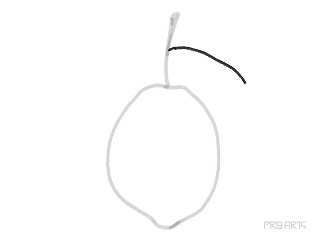 drawing a curve line for the lemon leaf