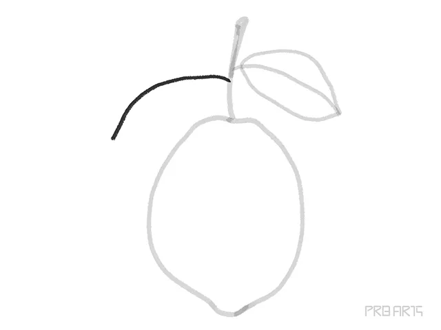 drawing a line for the left-side of the lemon leaf