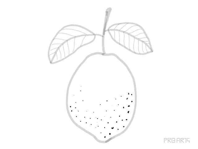 drawing more details pencil dots on the lemon fruit