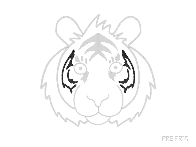 learn how to draw the outline design on the tiger face