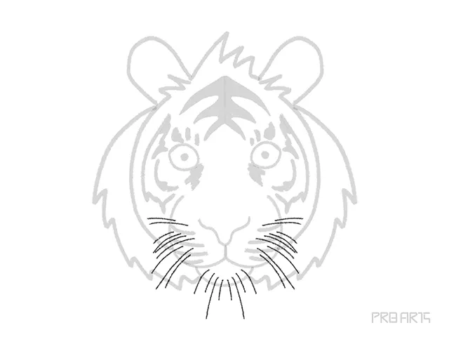 tiger whiskers drawing tutorial