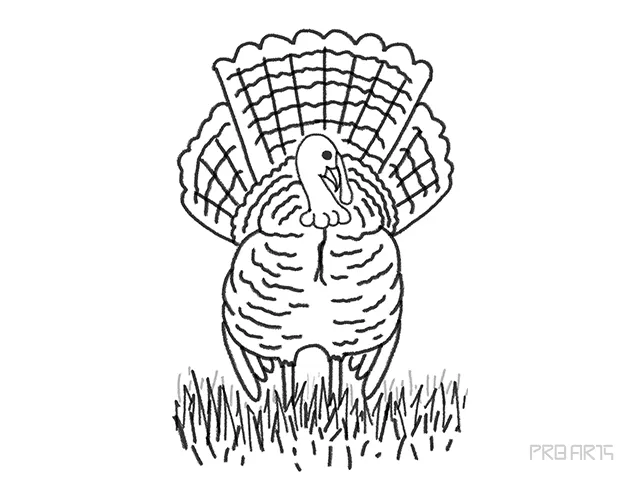 turkey semi-realistic drawing tutorial for kids