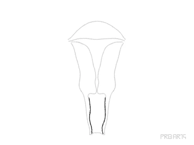 uterus drawing tutorial - step 07