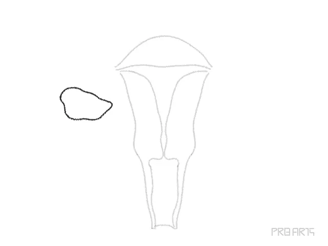 uterus drawing tutorial - step 08