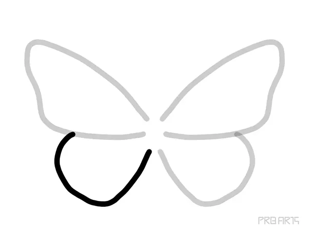 learn how to draw the outline drawing of butterfly sketch an easy step-by-step drawing tutorial for beginners - step 04