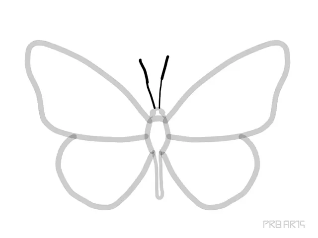 learn how to draw the outline drawing of butterfly sketch an easy step-by-step drawing tutorial for beginners - step 08
