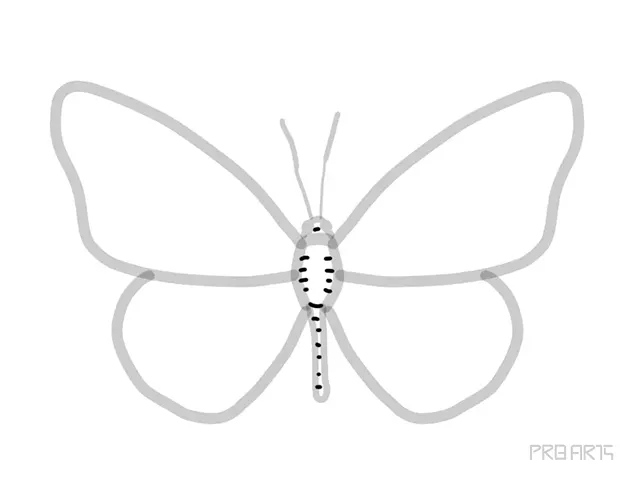 learn how to draw the outline drawing of butterfly sketch an easy step-by-step drawing tutorial for beginners - step 09