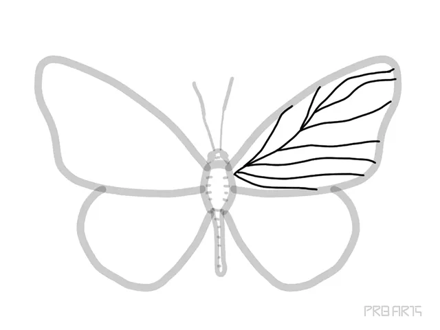 learn how to draw the outline drawing of butterfly sketch an easy step-by-step drawing tutorial for beginners - step 10