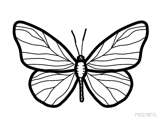 how to draw a simple butterfly