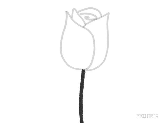 rose stem drawing tutorial