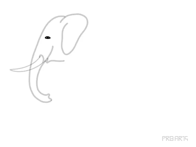 learn how to draw the elephant standing in the side view an easy step-by-step drawing tutorial for beginners - step 08