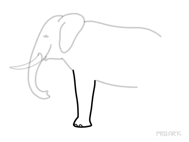learn how to draw the elephant standing in the side view an easy step-by-step drawing tutorial for beginners - step 11