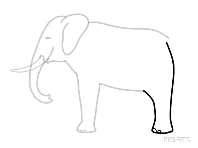 learn how to draw the elephant standing in the side view an easy step-by-step drawing tutorial for beginners - step 12