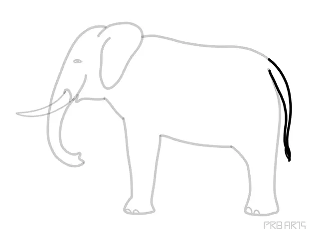 learn how to draw the elephant standing in the side view an easy step-by-step drawing tutorial for beginners - step 13