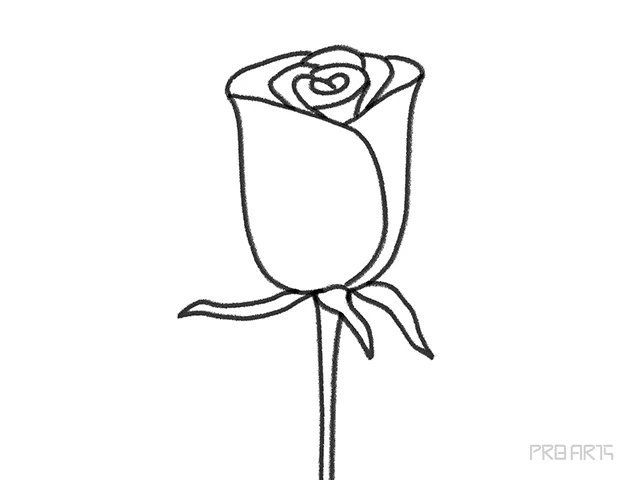 Red Rose Bud Opening Drawing Tutorial for Kids