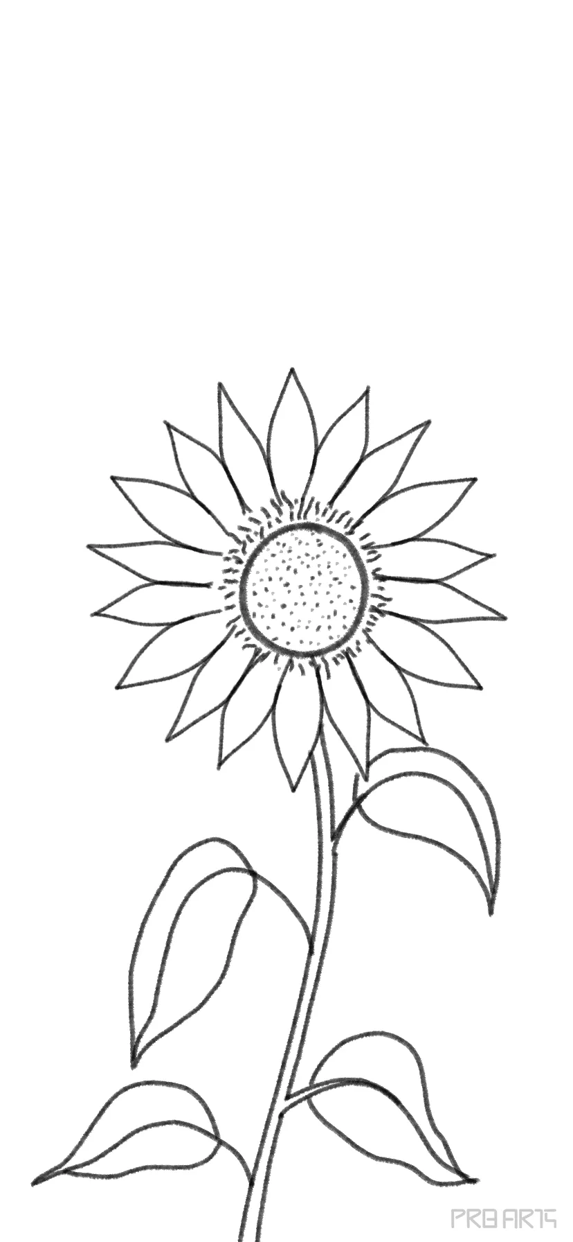 Buy Sunflower SVG Hand Drawn Line Drawing Commercial Use Online in India   Etsy
