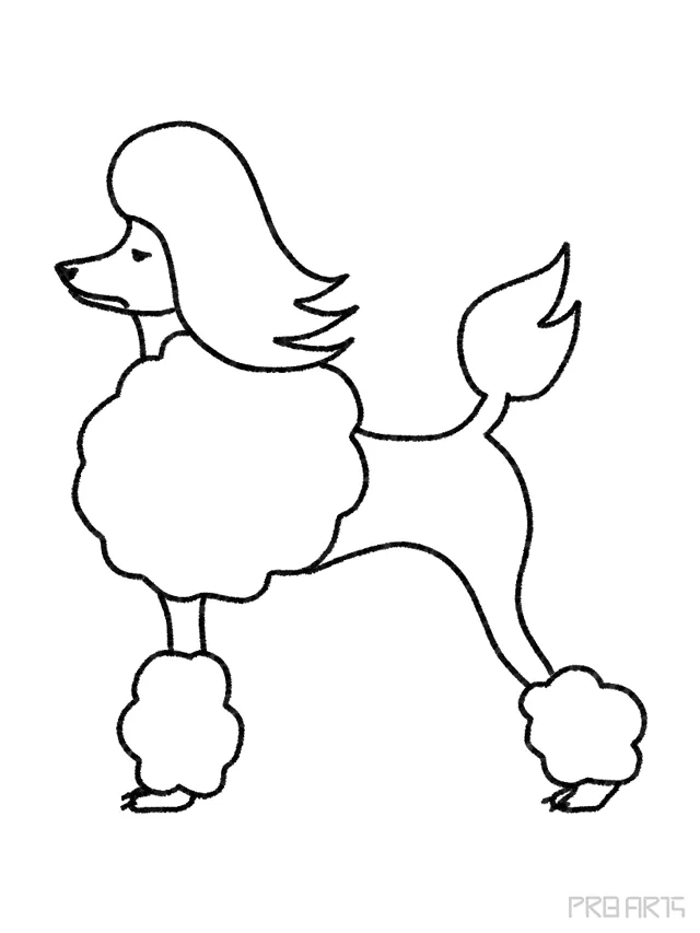 Best and Easy Poodle Drawing Tutorial for Kids - PRB ARTS
