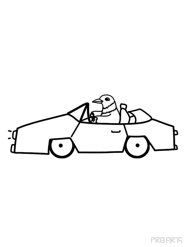 American Robin Driving A Car Drawing Tutorial