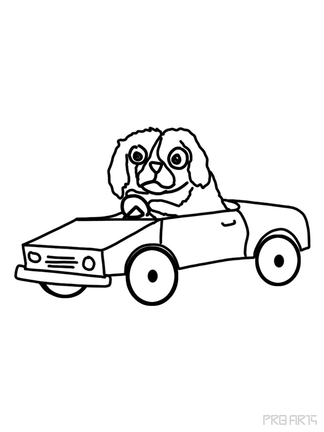 American Water Spaniel Driving A Car Drawing Tutorial