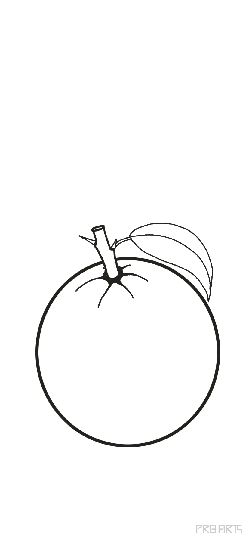 Orange Cam  Cute food drawings Easy fruit drawing Fruits drawing